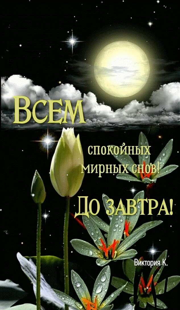 Доброго весеннего ночи. Ночной цветок. весенних снов. прекрасная ночь. доброй весенней ночи.
