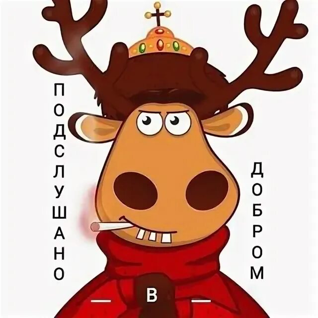 Подслушано тула смартик. Подслушано тула смартик