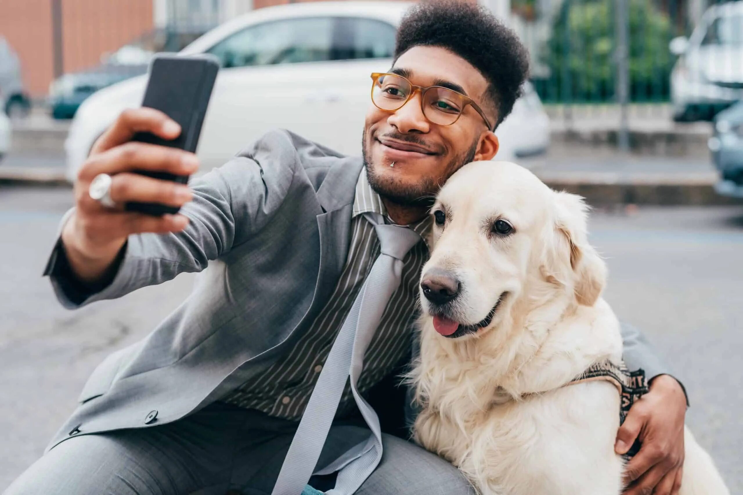 Что значит открой собаку. Кортин собак обой. Add dog. Трехцветная немецкая овчарка. How much does it cost to groom a dog.