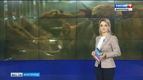 Вгтрк волгоград