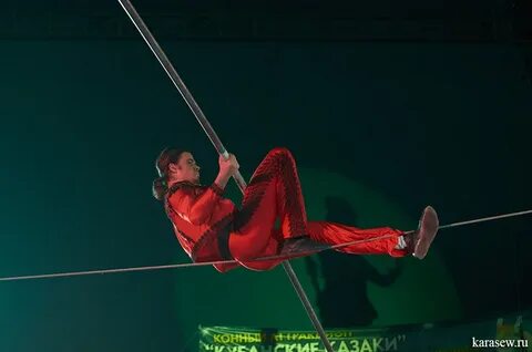 Сказочный канатоходец сканворд 5