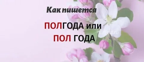 Как пишется слово полгода