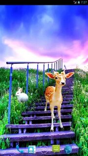 Интерактивные на андроид