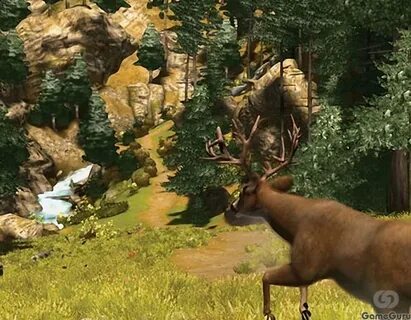 Cabelas adventure