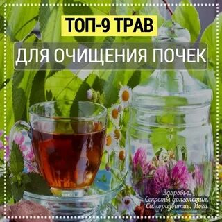 9 трав