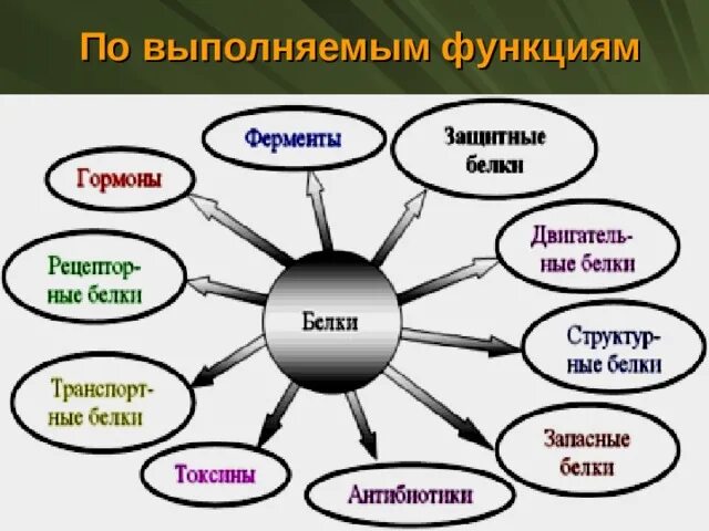 3 каталитические функции выполняют: найдено 88 изображений