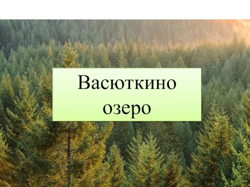 Васюткино озеро на карте. Васюткино озеро на карте России. Васюткино озеро на карте Красноярского края. Географическая карта Васюткино озеро. Васюткино озеро где оно