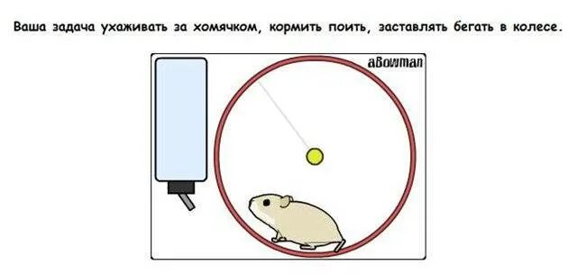 Как открыть закрытую карту в хомяке