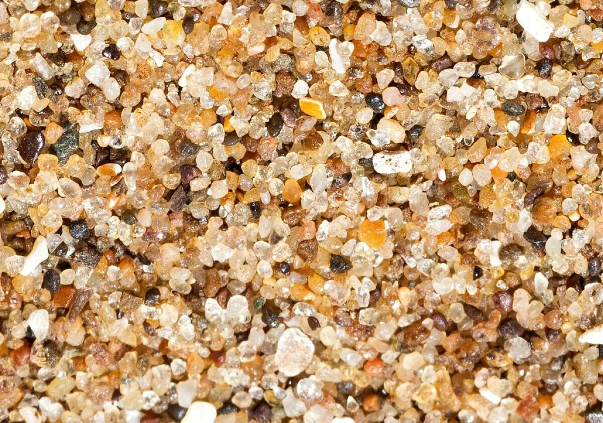 Sand Nature Beach free image download