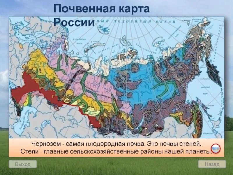 Территория где встречается