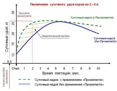 Увеличить удой
