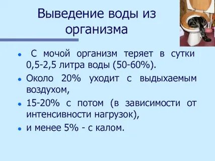Выходит одна вода