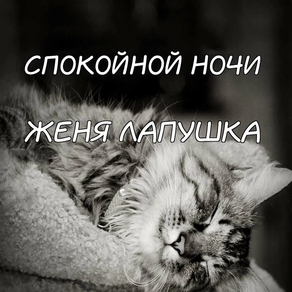 Открытки спокойной ночи. Спокойной ночи. Спокойной ночи прикол. Открытки спокойной ночи. Доброй ночи.