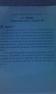 Вопросы к капитанской дочке литература 8 класс