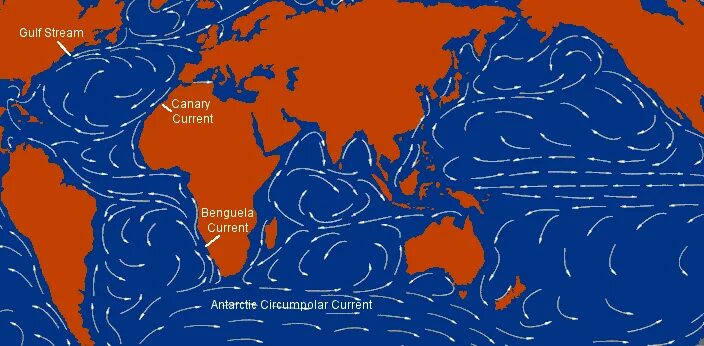 Гольфстрим течение. Гольфстрим морские течения. Течение Гольфстрим на карте. Тёплое течение Гольфстрим.