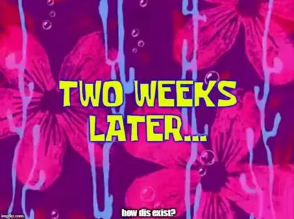 2 weeks later