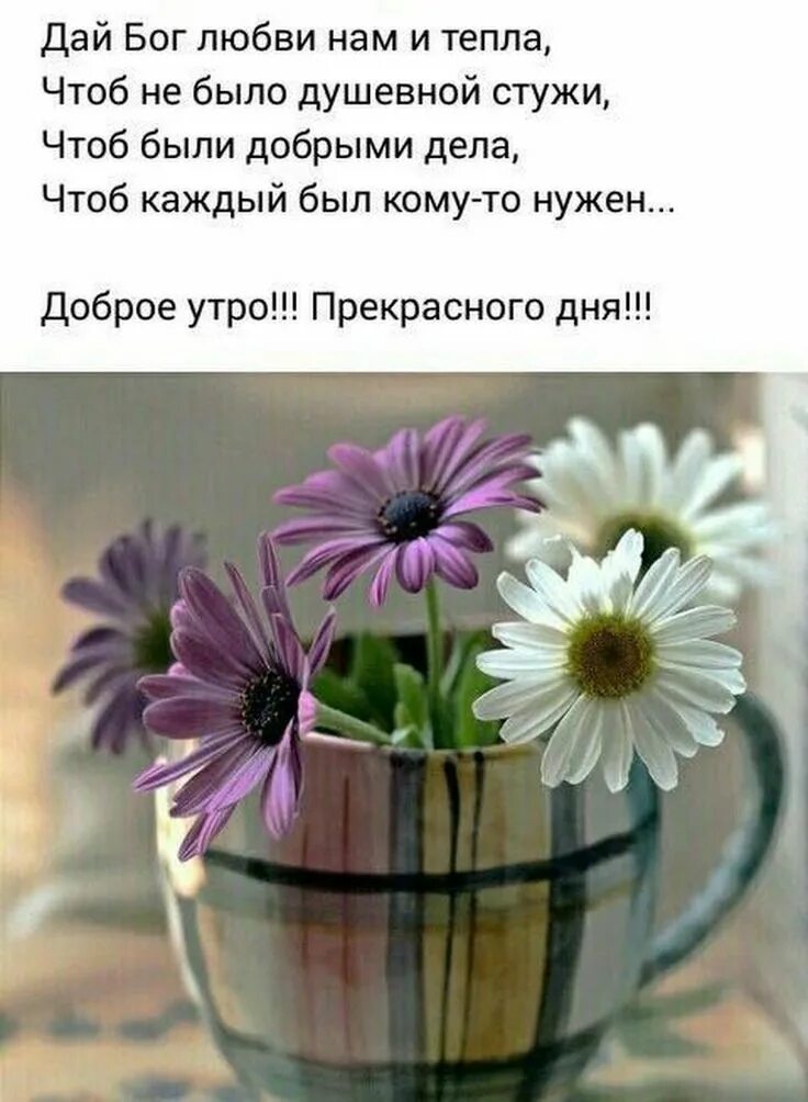 С добрым утром со смыслом картинки пожеланиями. Душевные пожелания с добрым утром. доброе утро пожелания красивые. с добрым утром с пожеланиями мудрыми. с добрым утром картинки позитивные.