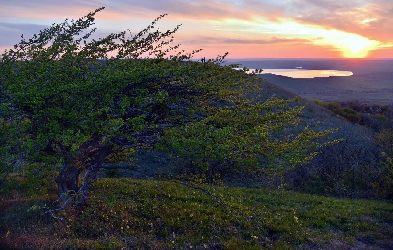 Бучинская поляна ставрополь. Беспутные поляны ставрополь. Беспутные поляны. Ставрополь крест беспутская поляна. Беспутские поляны ставрополь фото.