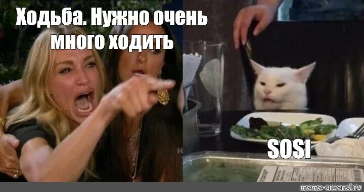 Мем где девушки кричат на кота Комикс мем: "Деепричастие Причастие" Комиксы