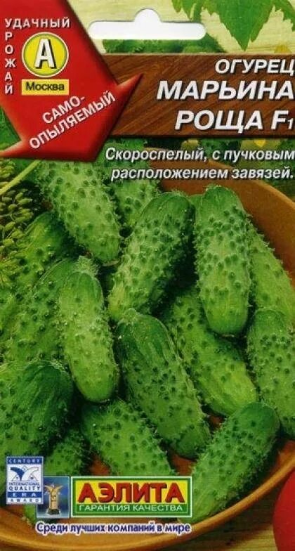 Сорт огурца марьина роща. Огурец марьина роща манул. Марьина роща огурцы. Огурец марьина роща f1. Сорт огурца марьина роща.