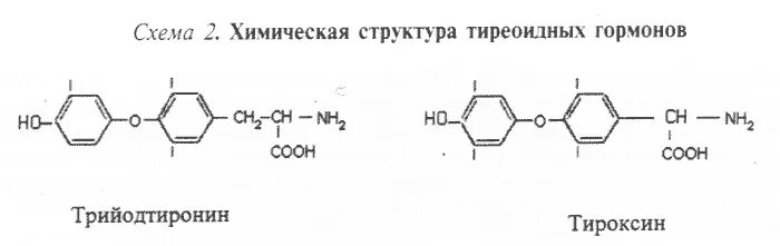 Тиреоидные гормоны химическое строение. Тиреоидные гормоны химическая структура. Тиреоидные гормоны структура. Тиреотропный гормон формула.