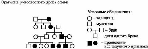 Родословный брак