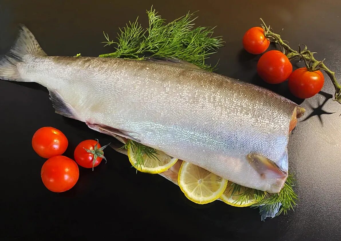 Семга лосось кижуч. Семга без головы. Семга без головы. Кижуч чили премиум. Кижуч тихоокеанский лосось.