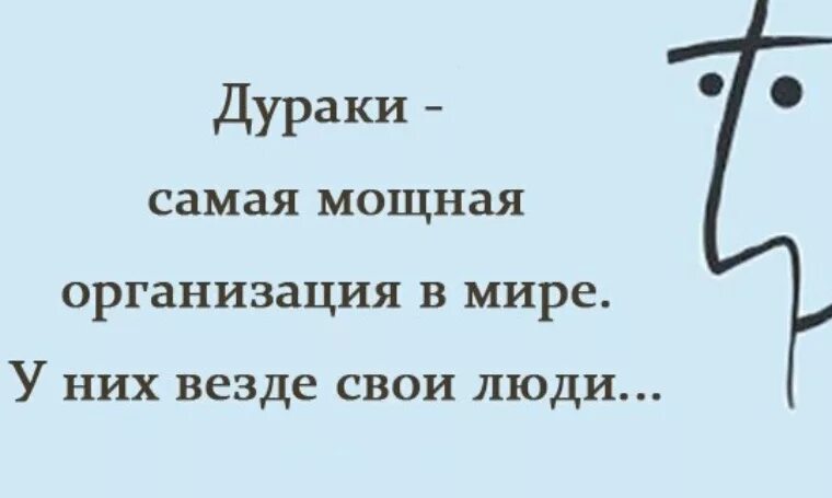 Глупый возможно. Фразы про дураков. Высказывания о дураках. Афоризмы про дураков. Мудрые высказывания про дураков.