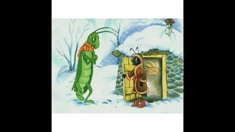 Жыныс сорғыштар