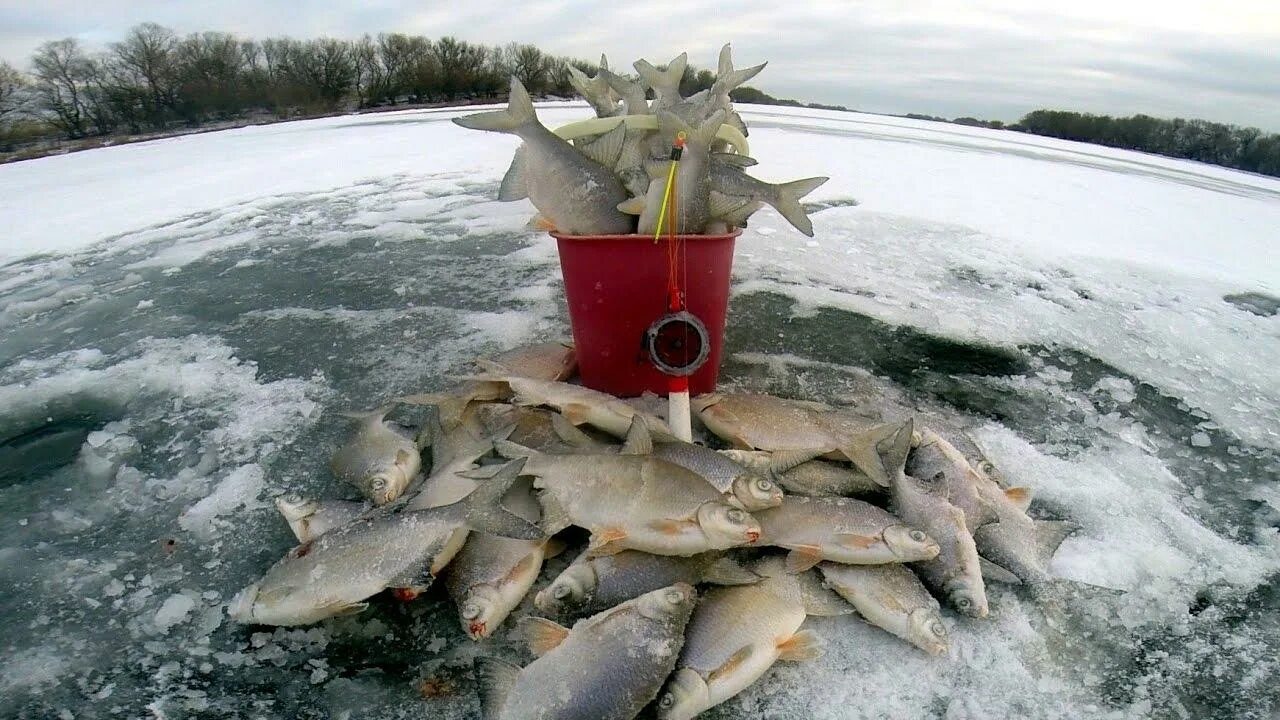 Где зимой ловят рыбу. Зимняя рыбалка. Подледная рыбалка. Зимняя рыбалка на льду. Зимняя рыбалка на озере.