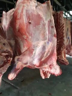 Мясо говядины полутуши