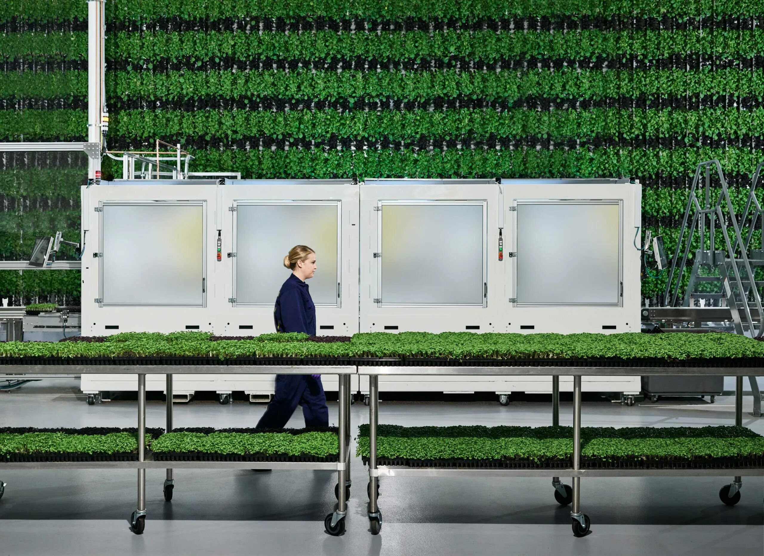 Стартап в сельском хозяйстве. Вертикальные фермы ifarm. Стартап ферма. Ферместал. Роменвиль франция вертикальная ферма.