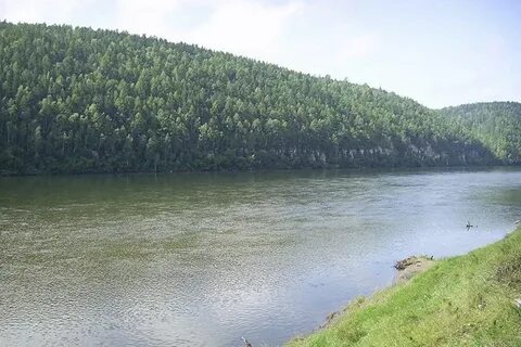 Села на реке белой
