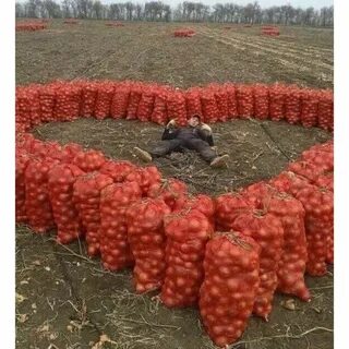 Это так глупо признаться