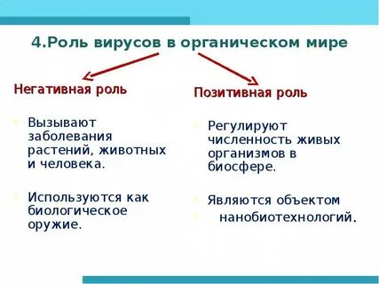 Роль вирусов 5 класс