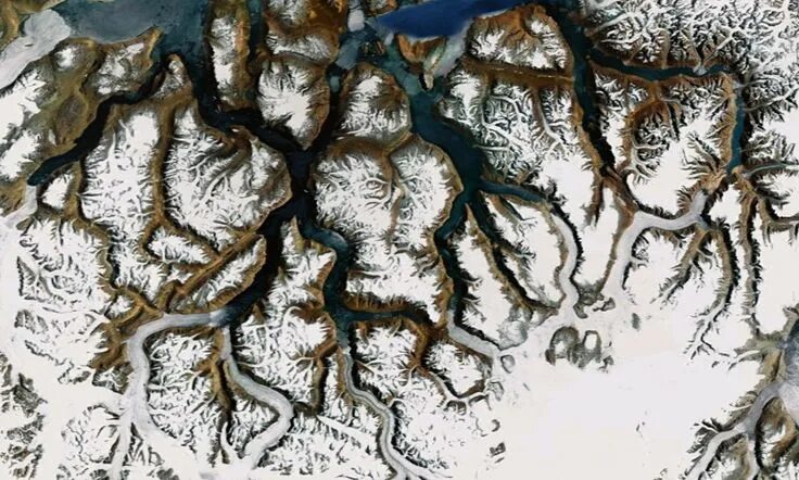 Overview