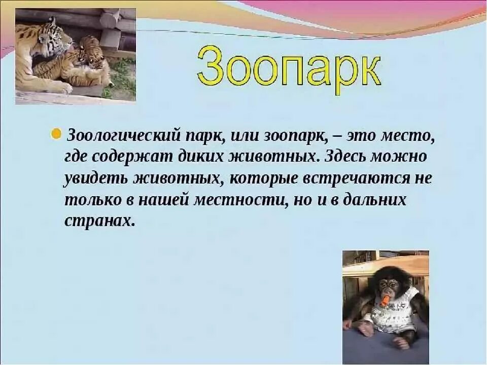5 7 предложений о животных
