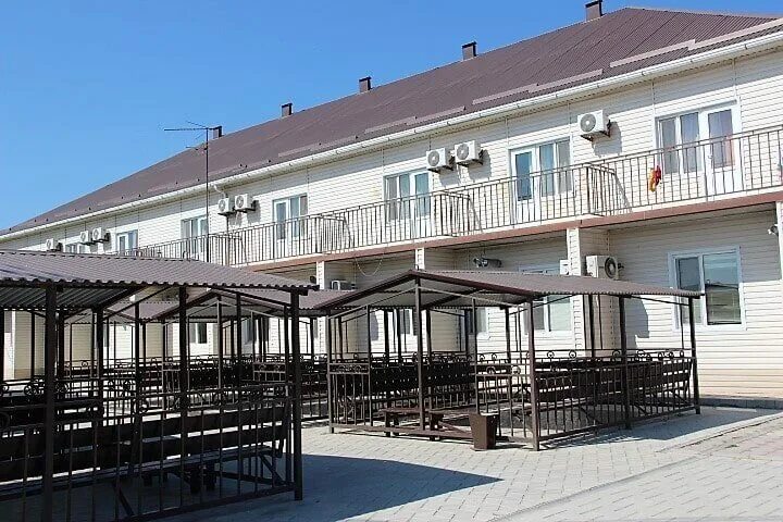 лагерь фламинго темрюк. детский санаторно-оздоровительный лагерь "фламинго". детский лагерь фламинго темрюкский район. детский лагерь фламинго краснодарский край. оздоровительный лагерь фламинго темрюк.