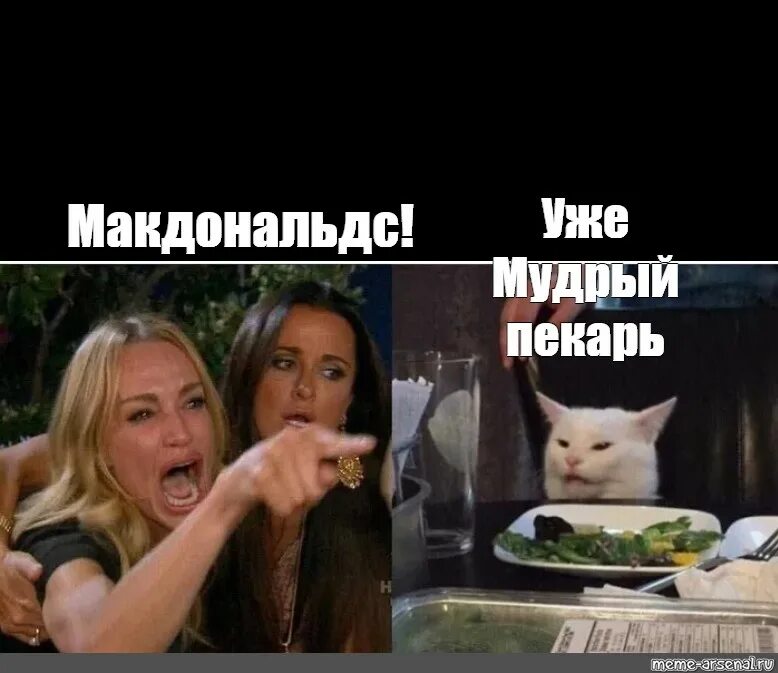 Создать мем с котом и двумя женщинами Бредзона 07.02.21 ЯПлакалъ Юмор о мамах, Мемы, Смешные шутки