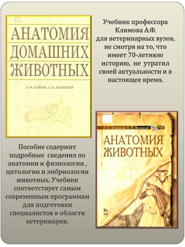 Анатомия животных учебное пособие. Анатомия животных учебное пособие
