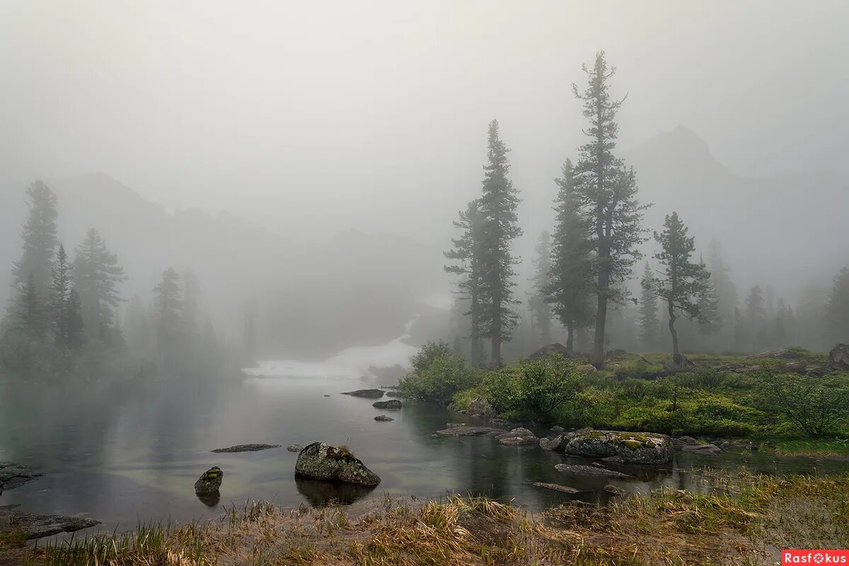 Туманный пейзаж. Туман осенью. Природа туман. Пейзаж туман. Озеро панкратинский туман.