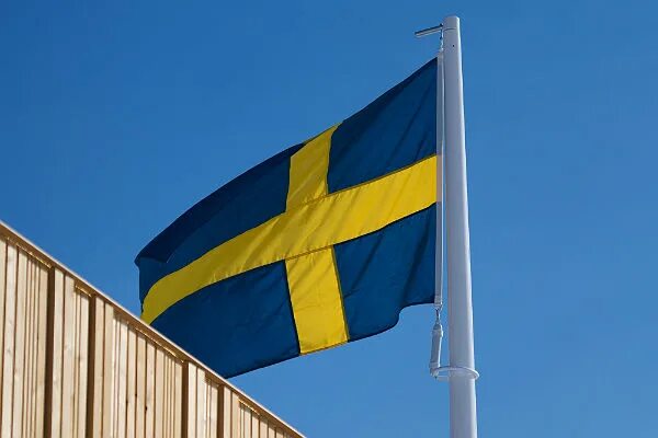 современная армия швеции. министр энергетики швеции хашаяр фарманбар. стокгольм столица швеции флаг. швеция готовится. швеция готовится.