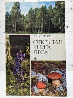 В лесах книга 3
