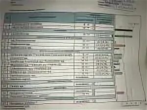 Eubacterium spp что это