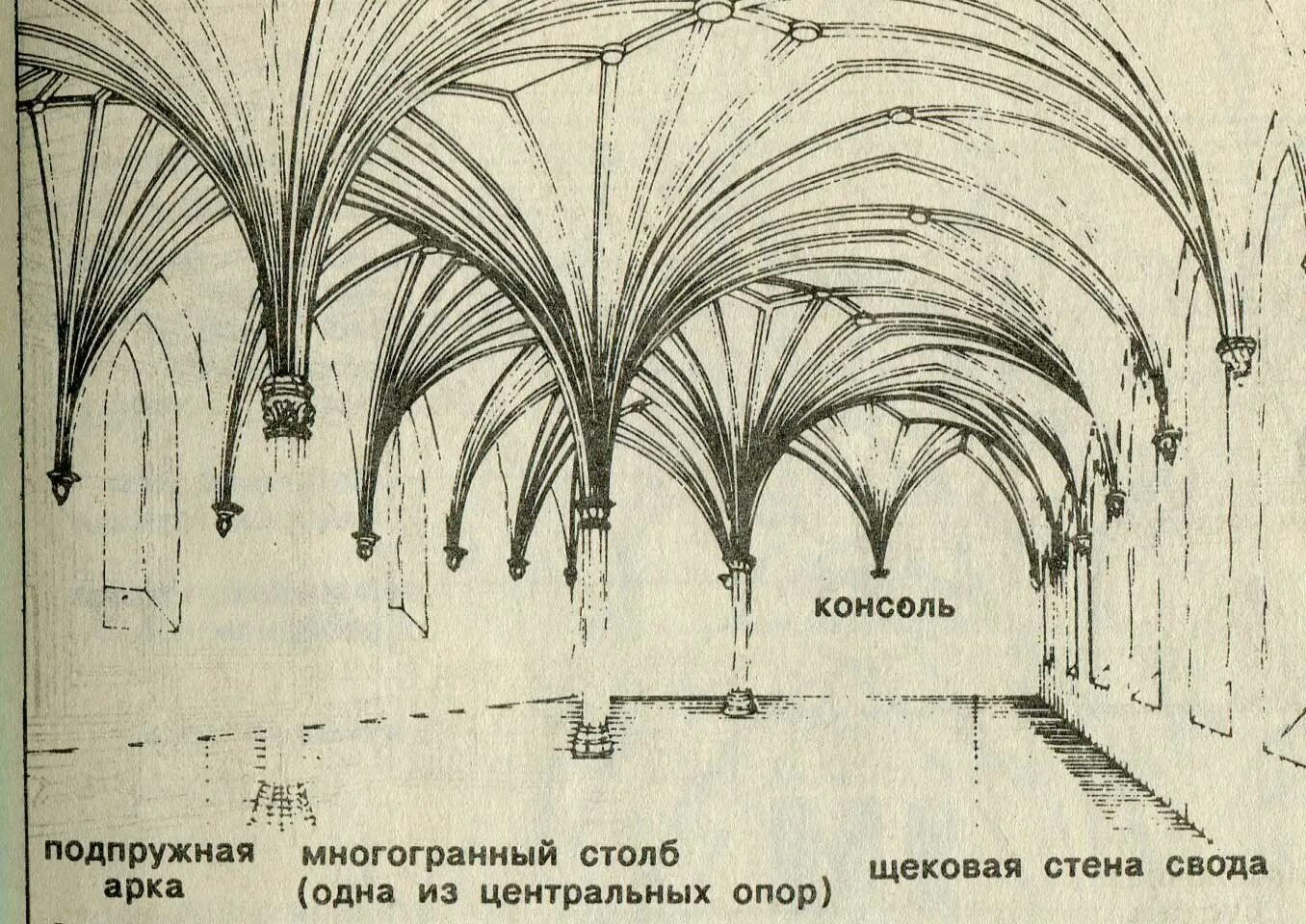 Свод советов. Веерный нервюрный свод. Веерный свод в архитектуре схема. Стрельчатый свод в архитектуре схема. Веерный свод Готика схема.