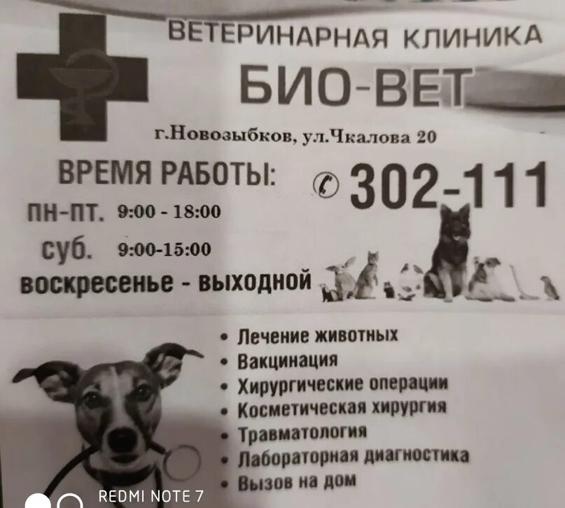 Новозыбков ветеринарная. Новозыбков ветеринарная. Новозыбков ветеринарная. Бульварный переулок в новозыбкове ?. Стерилизация животных реклама.