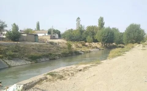 Пагода овчикалача