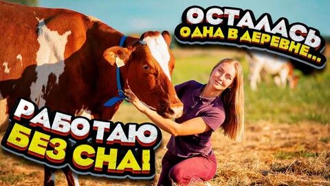 Молодая ферма новое видео