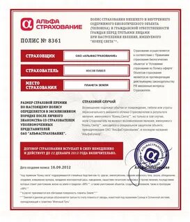 Альфа страховка жизни