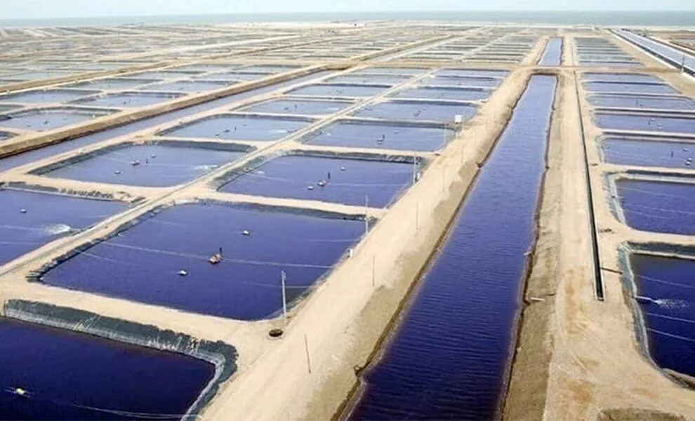 Водопользование акватории. Рыбная ферма. Рыбная ферма в Египте. Рыбоводство в Египте.